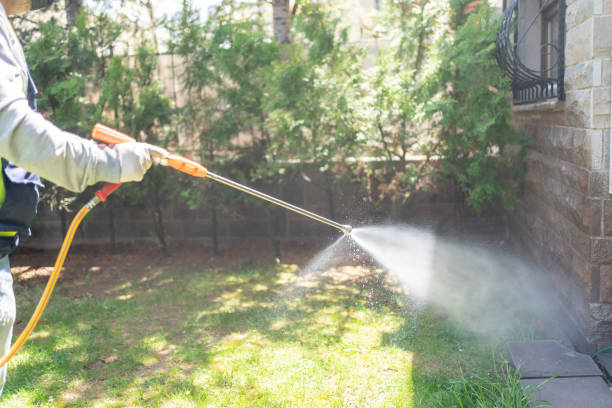 Best Pest Control Near Me in White House Station, NJ